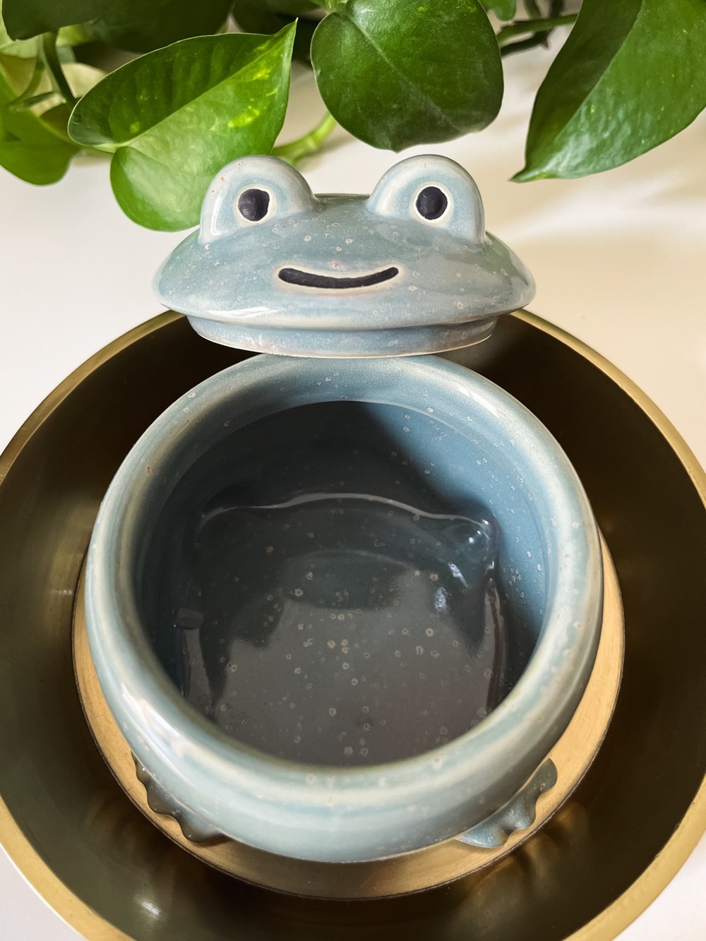 Trinket Jar - Adorable Green-Grey Ceramic Frog Keepsake Jar - Picture 6 of 8